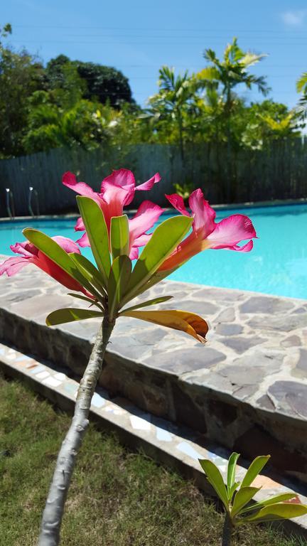 Villa Formosa Bohol Екстер'єр фото